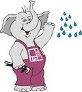 flash animace slona