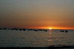 Cadiz