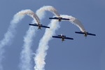 Memorial AIR SHOW 2011 - Roudnice nad Labem